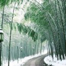 좋은세상 이미지