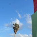 새나네밥상 | ㅈㅓ... 아직 낯가리네요 2026년이랑.. 1월 돌아보기