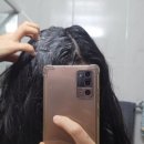 더블유헤어살롱 | 탈모관리 두피클렌징 각질비듬 두피관리샴푸 HAMOCELL 더블유 헤어 로스 샴푸 사용 후기 🫧