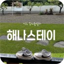 경주 해나스테이 이미지
