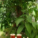 하사관길 이미지