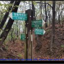 용호초등학교 이미지