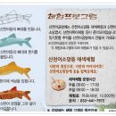 화천산천어축제산천어공방 Daum카페