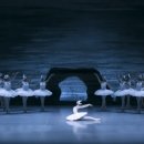 국립발레단 ’백조의 호수’ 이미지