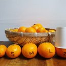 우주농장 이미지