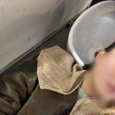 달서구미용실 로이드밤 대구 죽전점 모발클리닉 후기