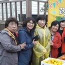 연합농장 이미지