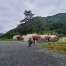 내북초 이식분교 이미지