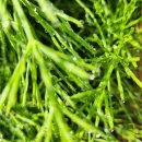 맑은 운동화 이미지