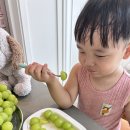 백담농산물