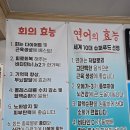 부여 횟집 자갈치회센타 매장 방문 후기