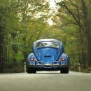 DMZ 펜션 이미지