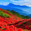 선물같은 하루 이미지