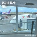 에어부산 급식소 | 2024 하반기 항공권 특가 예매 티웨이 일본 나트랑