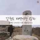 여여한사생활 이미지
