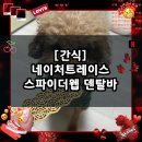 [간식] 네이처트레이스 스파이더웹 덴탈바 240g / 강아지 치석 제거 간식, 덴탈껌 추천