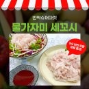 세꼬시 티스토리