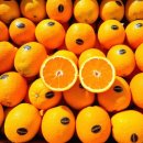 오렌지 이미지