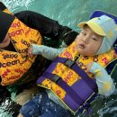 풀스테이더네이쳐홍천D | 14개월, 6살 아이와 다녀온 겨울 오션월드｜비발디파크 오션월드 육아 후기