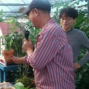 어룡초교 이미지