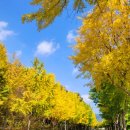 점곡초등학교 이미지