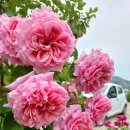 비엔베뉴 이미지