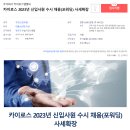 주식회사카이로스
