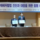 법무법인센트럴 이미지