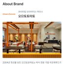 오므토토마토 | 컬리 추천템｜오므토토마토 시그니처 오므라이스 간단하고 든든한 한 끼 솔직후기