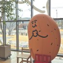 카페 카빈 | 춘천 케이블카 맛집 '카페카빈' 감자빵 파는 곳