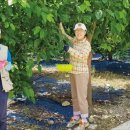 상대촌마을 이미지