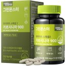 신진그린 이미지