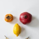 한국유전자연구소 이미지