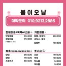 봄이오냥 이미지