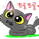 행복은간장밥서울대