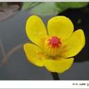 다례원 - 고양시 덕양구 | 다례원
