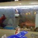 아싸마트 이미지