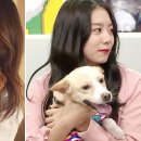 인성 카카오 검색결과