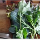 시골쌈밥 이미지