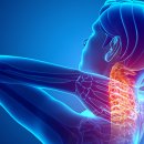 21세기 충주제통의원 이미지