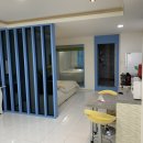 아모르 루시 이미지