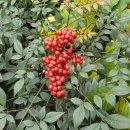 행운 행정사사무소 이미지