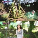 명화민박 이미지