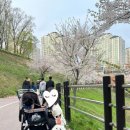 행복한깜시 이미지