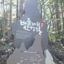 베틀