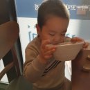 털보네오리불고기 | 5월 둘째주 일상- 화장품박람회,감성커피,알러지주의,기린벚꽃에디션,치킨의민족