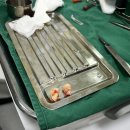 사랑니빠지는구강악안면외과치과의원 이미지