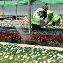 백양산 양묘장 이미지