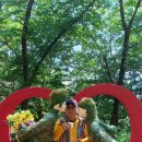 송죽 Daum카페
