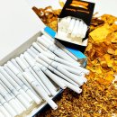 롤로코리아 이미지